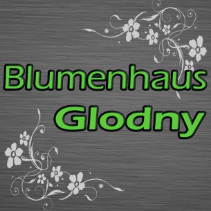 Glodny